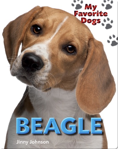 Beagle