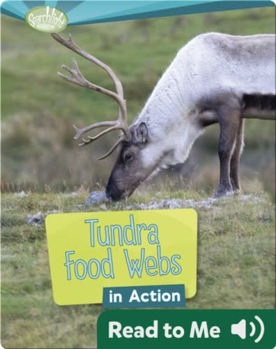 Tundra Food Webs in Action
