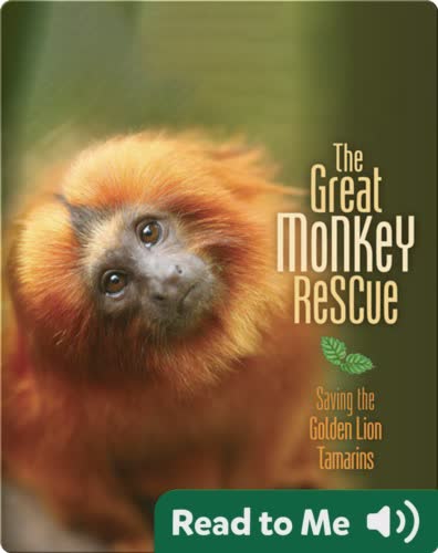The Great Monkey Rescue: Saving the Golden Lion Tamarins