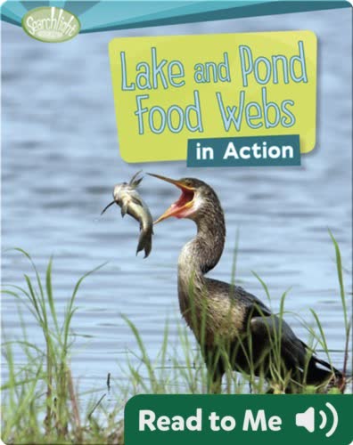 Lake and Pond Food Webs in Action