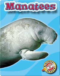 Manatees: Oceans Alive