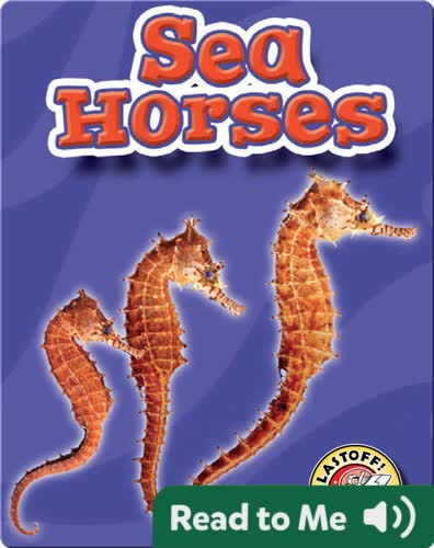 Sea Horses: Oceans Alive