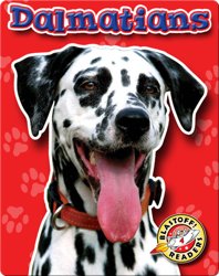 Dalmatians: Dog Breeds
