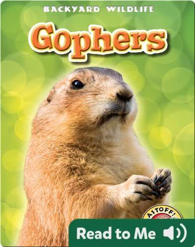 Gophers: Backyard Wildlife