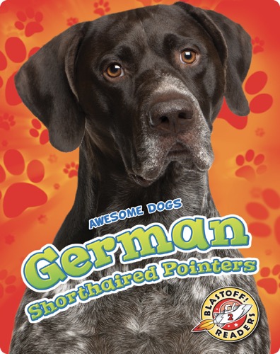 German Shorthaired Pointers