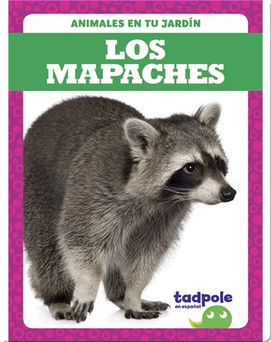 Los mapaches
