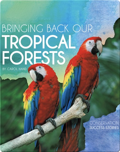 Bringing Back Our Tropical Forests