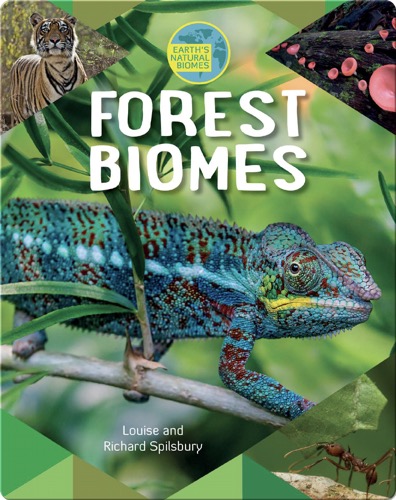 Forest Biomes