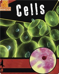 Cells