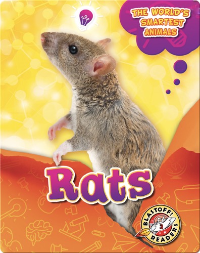 The World's Smartest Animals: Rats
