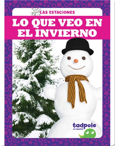 Lo que veo en el invierno (What I See in Winter)