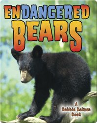 Endangered Bears