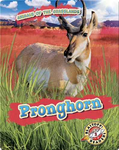 Animals of the Grasslands: Pronghorn