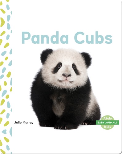Baby Animals: Panda Cubs