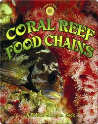 Coral Reef Food Chains