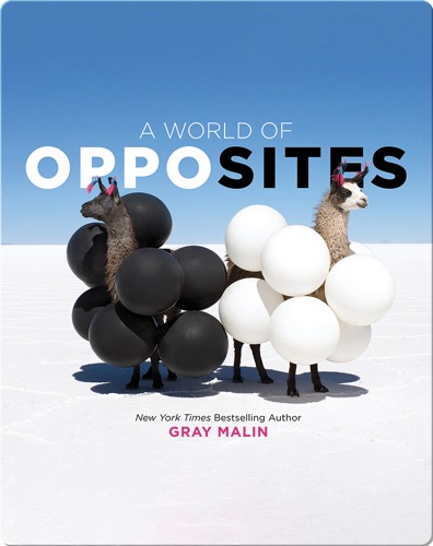 A World of Opposites