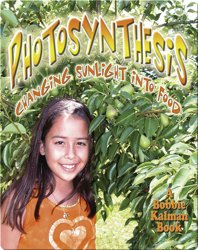 Photosynthesis: Changing Sunlight into Food