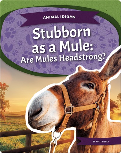 Stubborn as a Mule: Are Mules Headstrong?