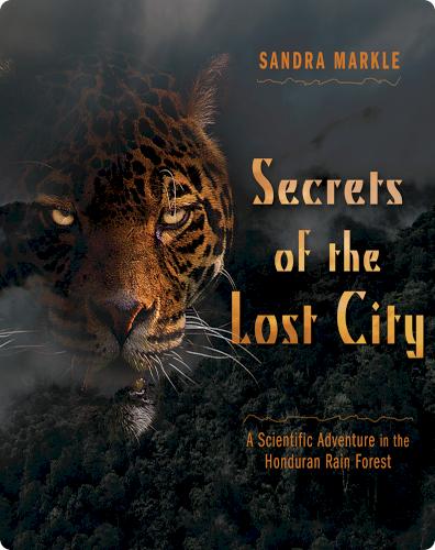 Secrets of the Lost City