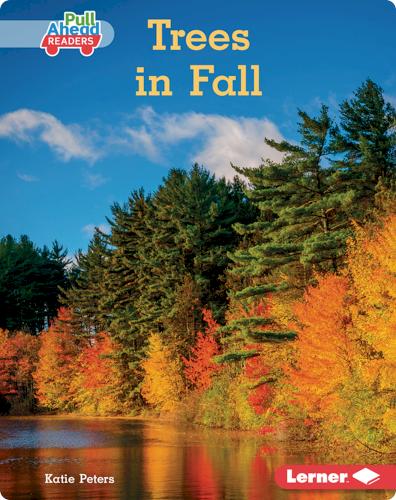 Trees in Fall
