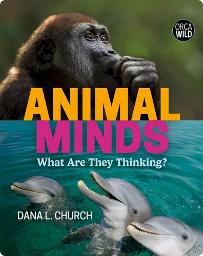 Animal Minds: What Are They Thinking?