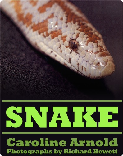 Snake